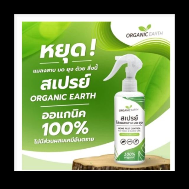 สเปรย์ไล่แมลงสาป ไล่แมลงสาบ ( MZ ) มด ยุง ไล่มด ไล่ยุง และแมลงต่าง สูตร ออแกนิค 10000 ML
